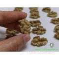 Kernel Kernels di noci cinesi dolci e croccanti quartieri